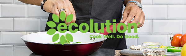 Ecolution Header