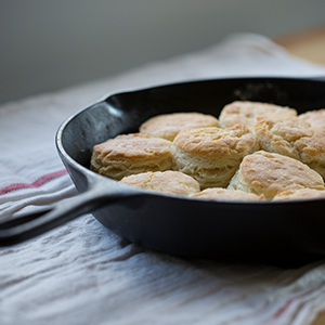 Lodge Cast Iron Skillets