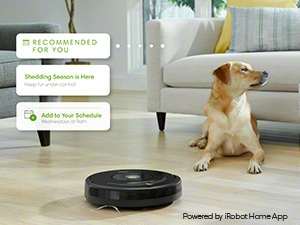 roomba