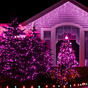 Twinkle Star Halloween Purple Incandescent Mini Lights