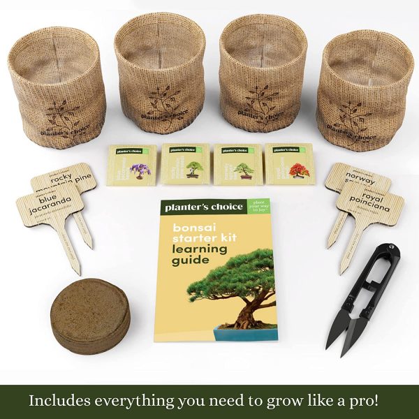 Bonsai Starter Kit - Gardening Gifts for Women & Men - Unique DIY Hobbies, Crafts Hobby Kits for Adults - Unusual Christmas Gift Ideas for Garden Plant Lovers, or Gardener Mother - Moms Craft Idea - Image 2