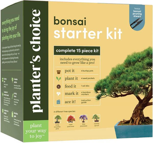 Bonsai Starter Kit - Gardening Gifts for Women & Men - Unique DIY Hobbies, Crafts Hobby Kits for Adults - Unusual Christmas Gift Ideas for Garden Plant Lovers, or Gardener Mother - Moms Craft Idea - Image 8