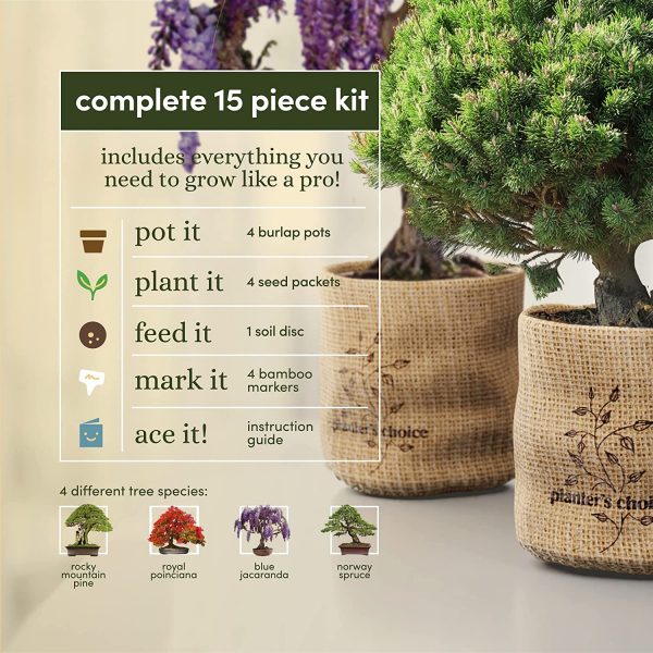 Bonsai Starter Kit - Gardening Gifts for Women & Men - Unique DIY Hobbies, Crafts Hobby Kits for Adults - Unusual Christmas Gift Ideas for Garden Plant Lovers, or Gardener Mother - Moms Craft Idea - Image 6