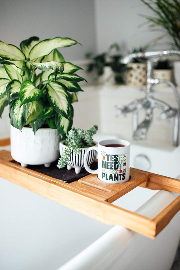 Plant Lover Coffee Mug, Houseplant Tea Cup, Gardner Landscape Green Thumb Gifts, Yes I Really Do Need All These Plants - Image 3