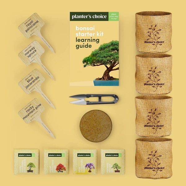 Bonsai Starter Kit - Gardening Gifts for Women & Men - Unique DIY Hobbies, Crafts Hobby Kits for Adults - Unusual Christmas Gift Ideas for Garden Plant Lovers, or Gardener Mother - Moms Craft Idea - Image 5