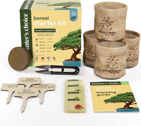 Bonsai Starter Kit - Gardening Gifts for Women & Men - Unique DIY Hobbies, Crafts Hobby Kits for Adults - Unusual Christmas Gift Ideas for Garden Plant Lovers, or Gardener Mother - Moms Craft Idea - Image 3