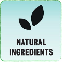 Natural ingredients dog food 