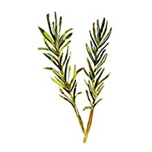 rosemary