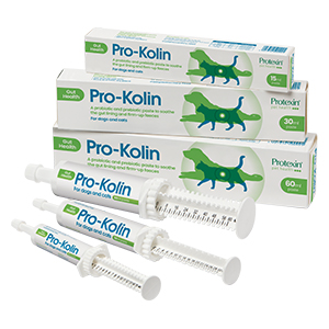 probiotic paste for cats and dogs; dog probiotic paste; probiotic paste for cats;probiotics for dogs