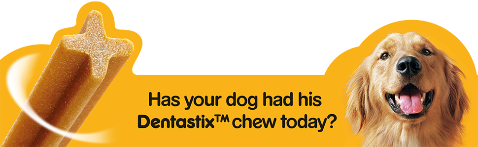 pedigree dentastix daily