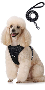 dog harness