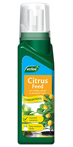 citrus feed