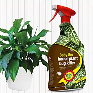 HOUSEPLANT BUG KILLER