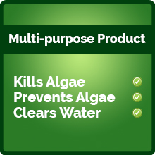 Kills algae, prevents algae, clears green water 