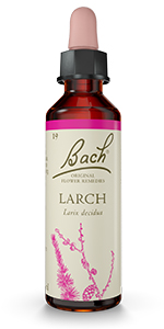 Bach Original Flower Remedies - Larch