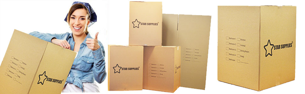 Star Printed Double Wall Boxes