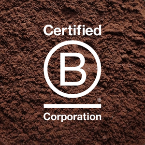 B Corp, B Corporation, sustainable business, ethical business