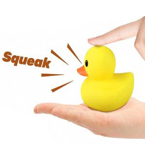rubber duck for car
