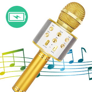 Karaoke Wireless Bluetooth