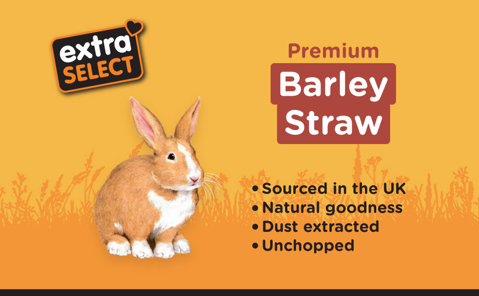 extra select premium barley straw