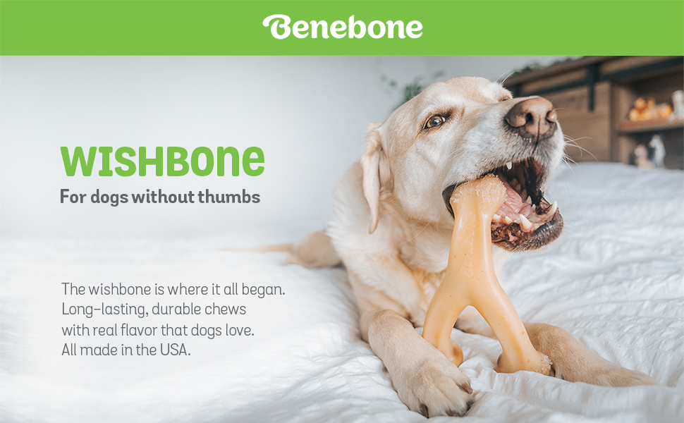 benebone wishbone collection