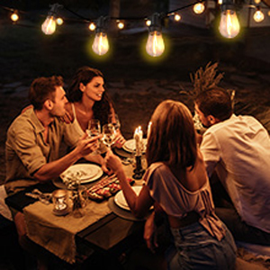 garden string lights