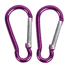 2 carabiner