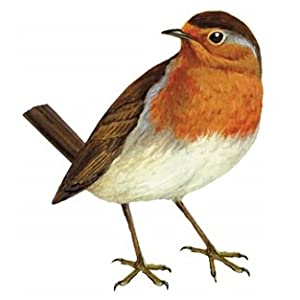 Robin