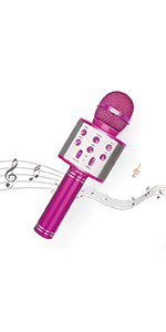 Karaoke Microphone