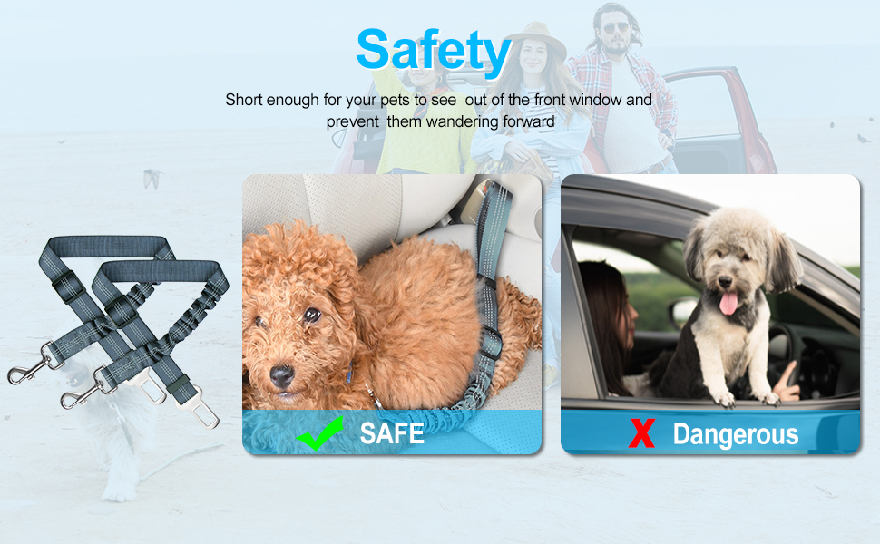 Seat Belt for Dogs 