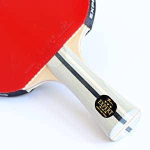 Palio Expert 3.0 (Expert Table Tennis) - Bat Racket Paddle