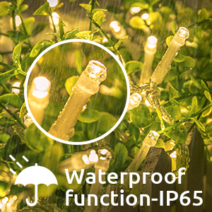 Dustproof and waterproof: With an IP65