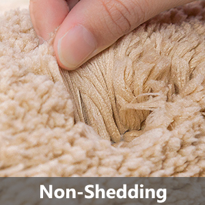 Non Shedding Bedside Rug