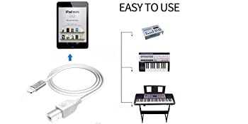 Type B Midi cable