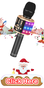 karaoke microphone