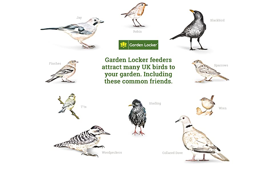 Garden Locker Bird Poster