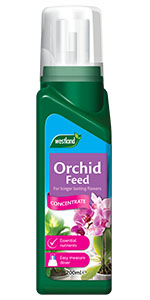 orchid feed