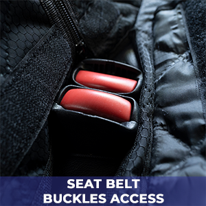 Seat Belt Buckles Access