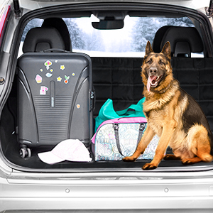 Dog Back Seat Cover