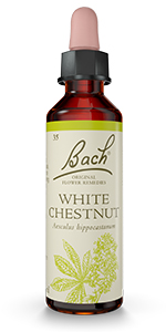 Bach Original Flower Remedies - White Chestnut