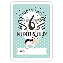 Cozy Hedgehog keepsake milestone baby moments memories cards baby shower gift pregnancy newborn