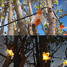 honey bees string lights