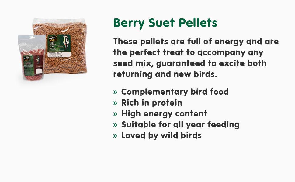 berry suet pellets