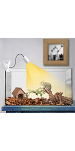 reptile clamp lamp fixture