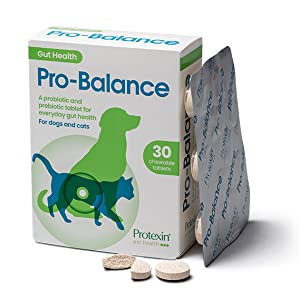 probiotics for dogs and cats, dog probiotic chews, cat probiotics, dog probiotics, pets probiotics