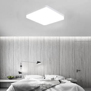 Led bathroom light ceiling