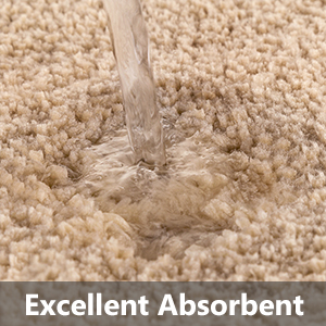 Absorbent Bathroom Rug 