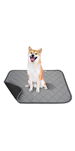 2 Pack Washable Puppy Training Pads