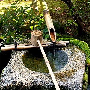 Nature Water Fountain Clear Water