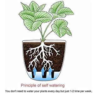 self watering